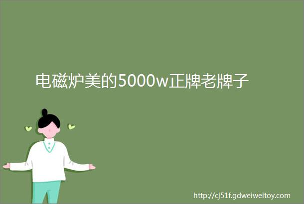 电磁炉美的5000w正牌老牌子