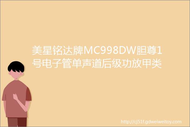 美星铭达牌MC998DW胆尊1号电子管单声道后级功放甲类